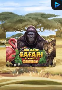 Big Game Safari